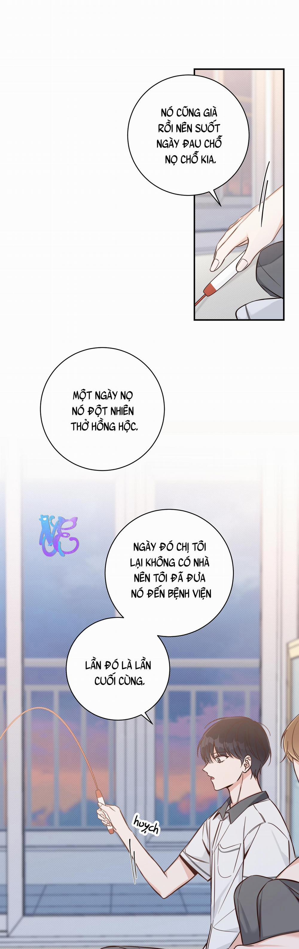 Mùa Hè Năm Ấy 6 trang 29