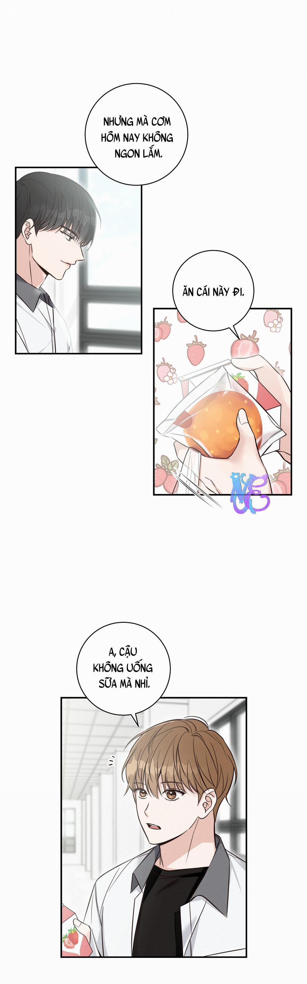 Mùa Hè Năm Ấy 6 trang 5