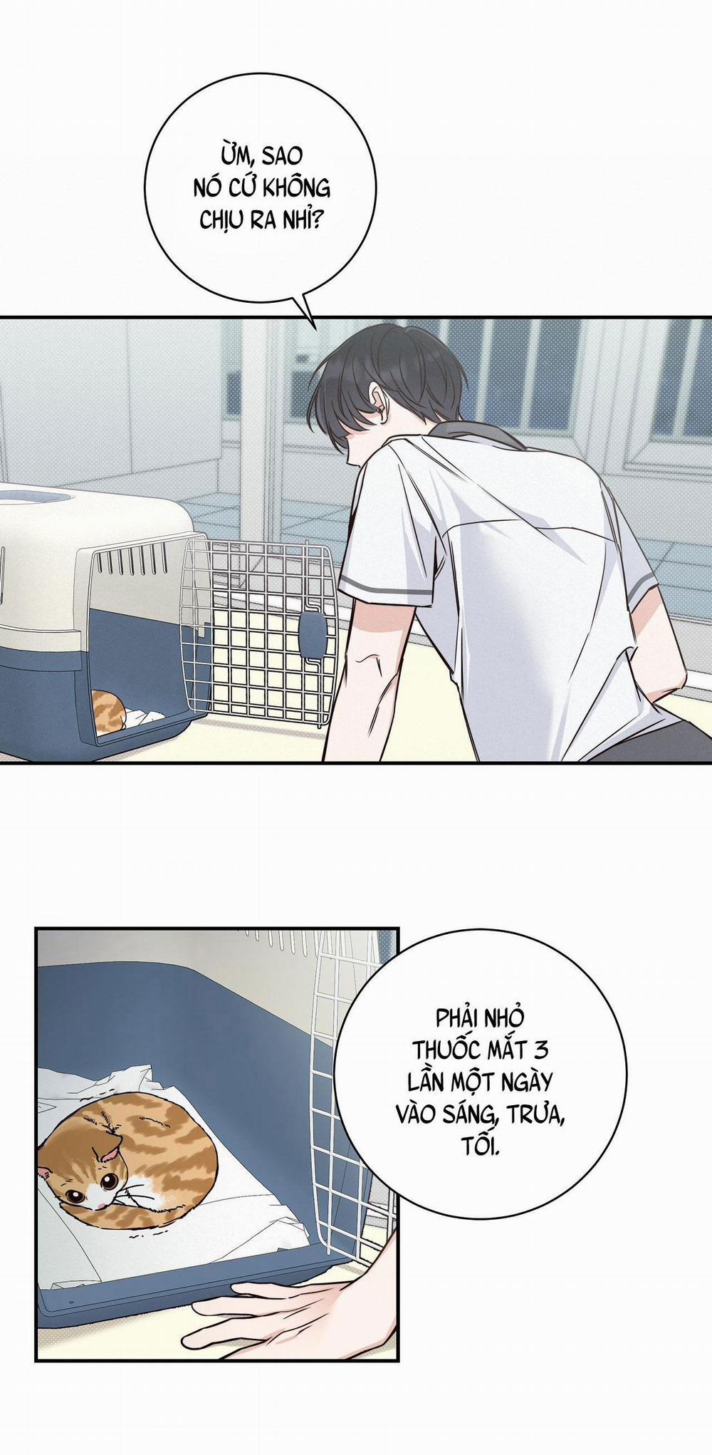 Mùa Hè Năm Ấy 7 trang 27