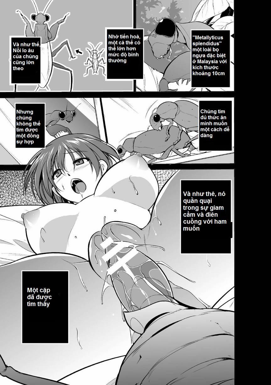 Mushi Yuugi 2 trang 11