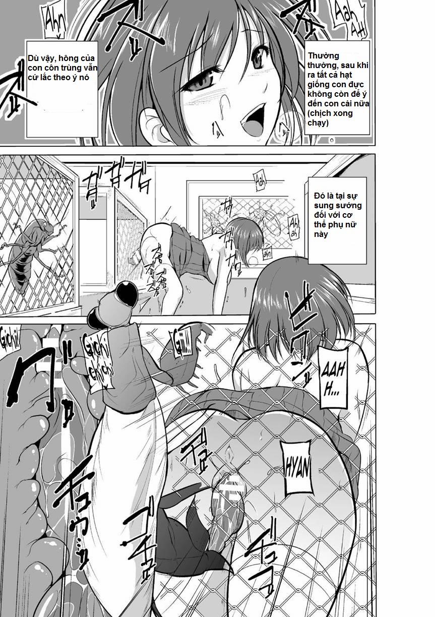 Mushi Yuugi 2 trang 13