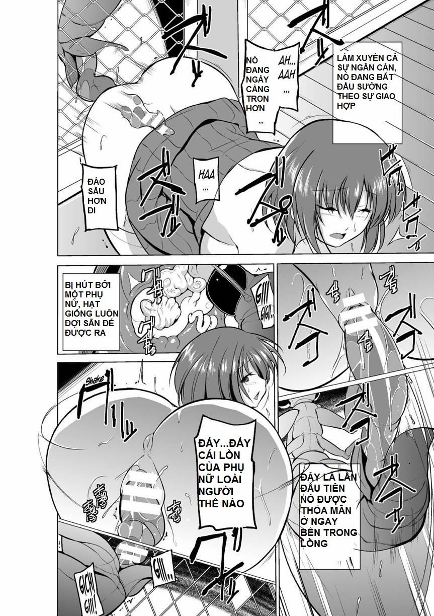 Mushi Yuugi 2 trang 14