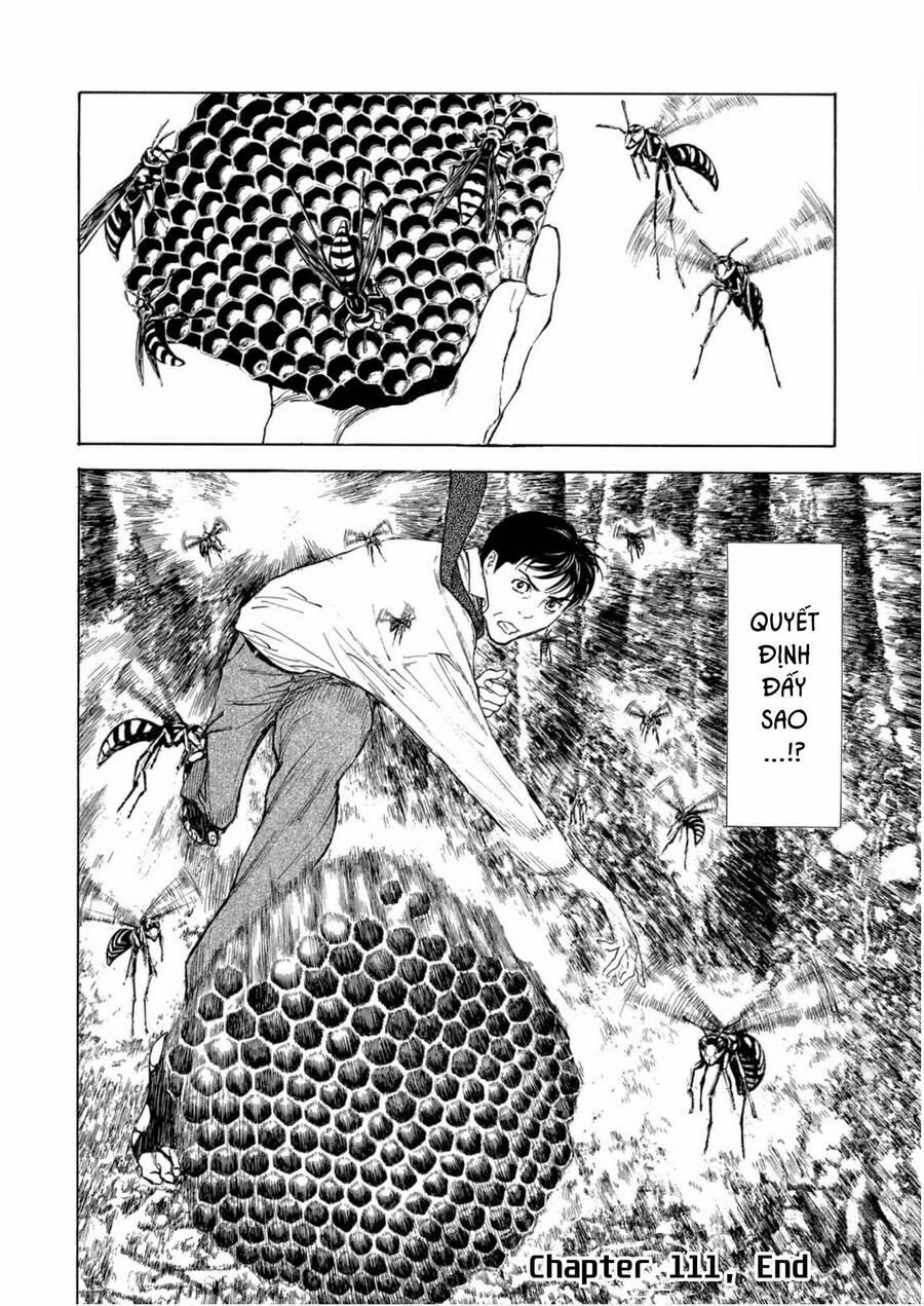 My Home Hero 111 trang 20