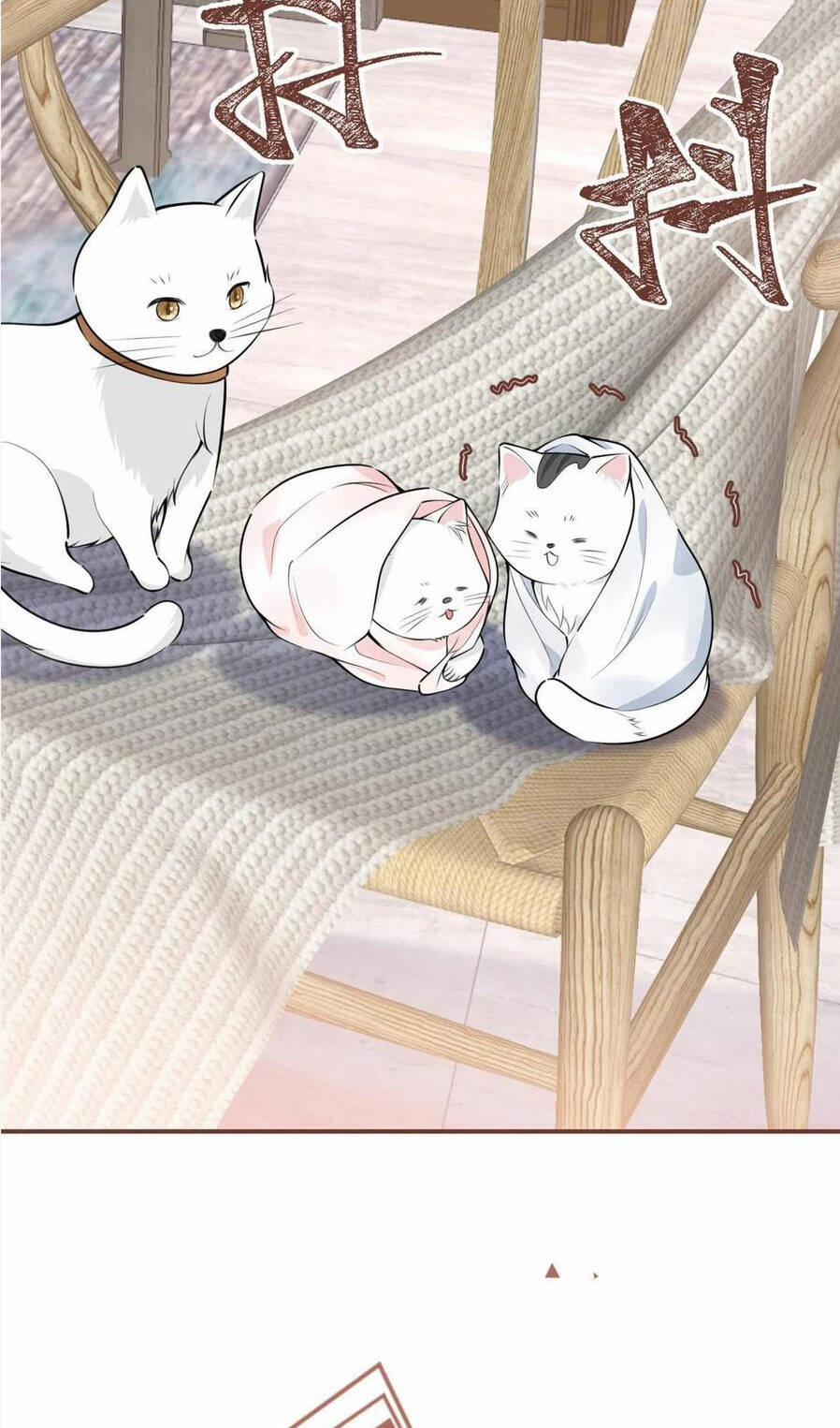 Nam Thành Chờ Trăng Về 245 trang 17