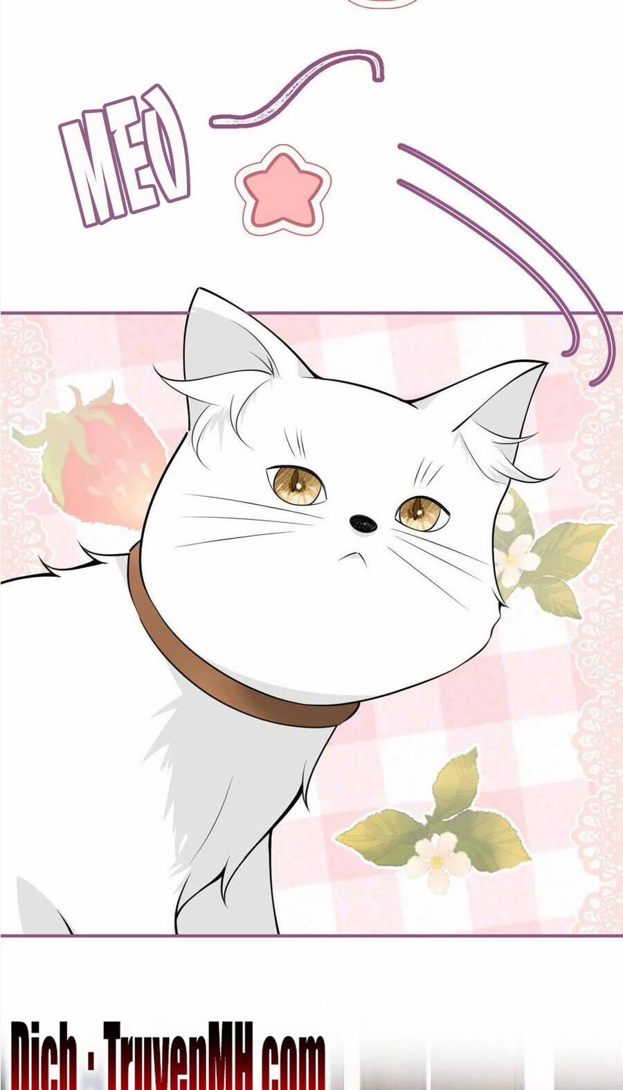 Nam Thành Chờ Trăng Về 246 trang 10