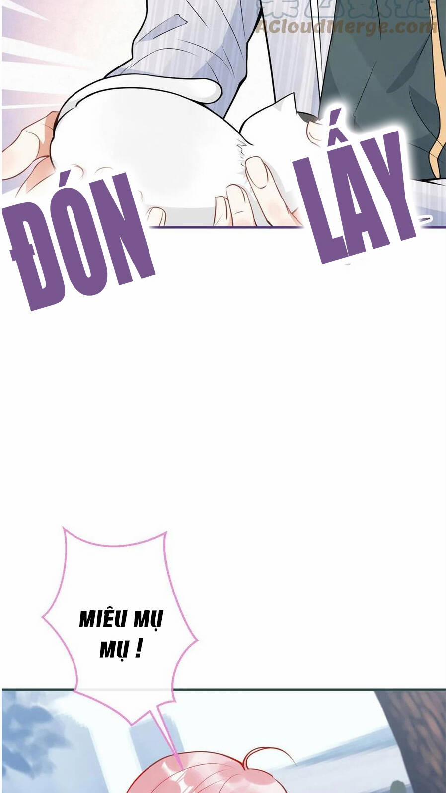 Nam Thành Chờ Trăng Về 247 trang 9