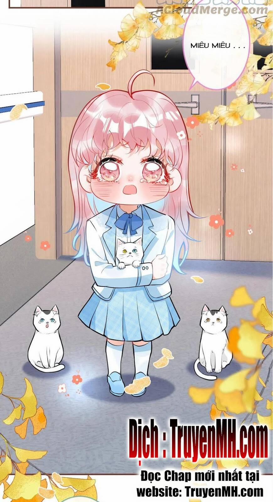 Nam Thành Chờ Trăng Về 248 trang 4