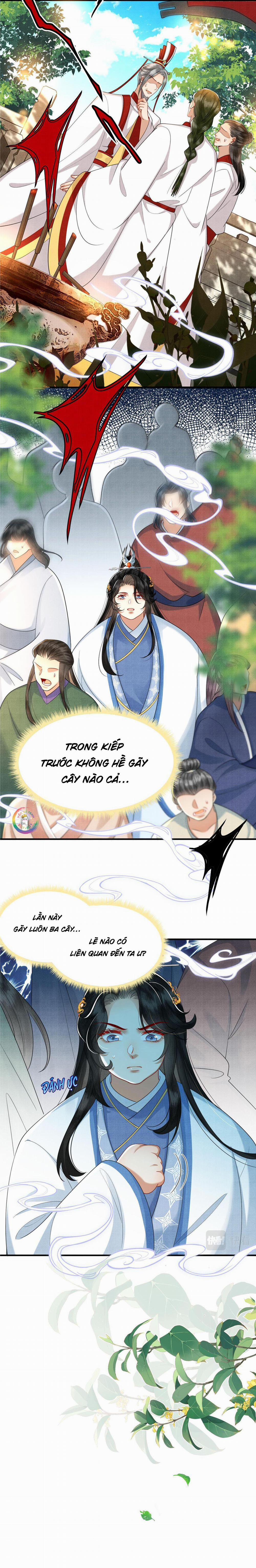 Nam Thê Vô Dụng Sống Lại Rồi!!! 15 trang 4