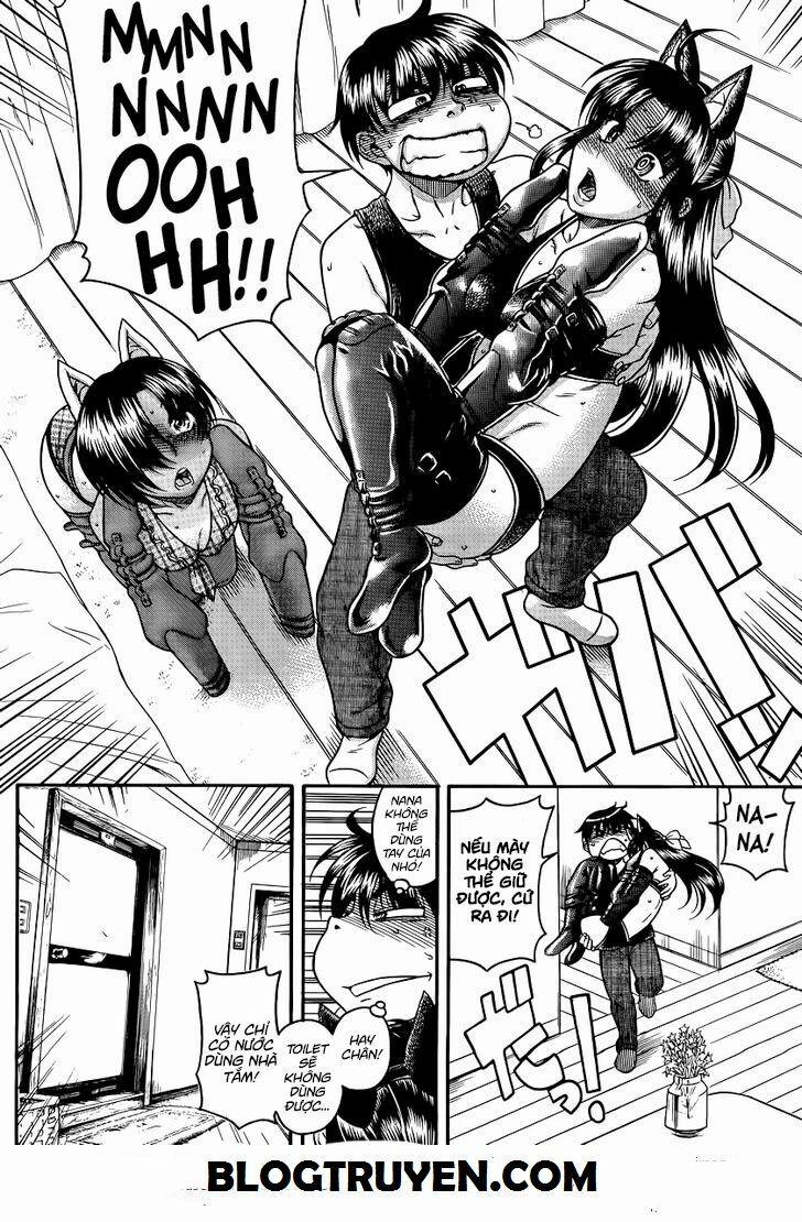 Nana To Kaoru 74 trang 16