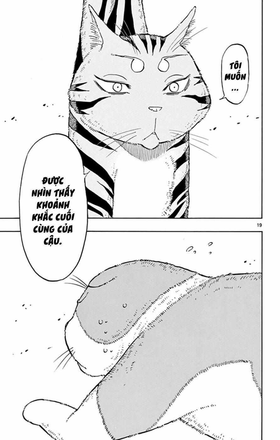 Năng Lực Quay Ngược Thời Gian Của Saike 17 trang 19