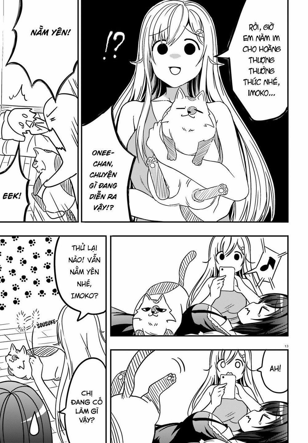 Neeko Wa Tsurai Yo 17 trang 13