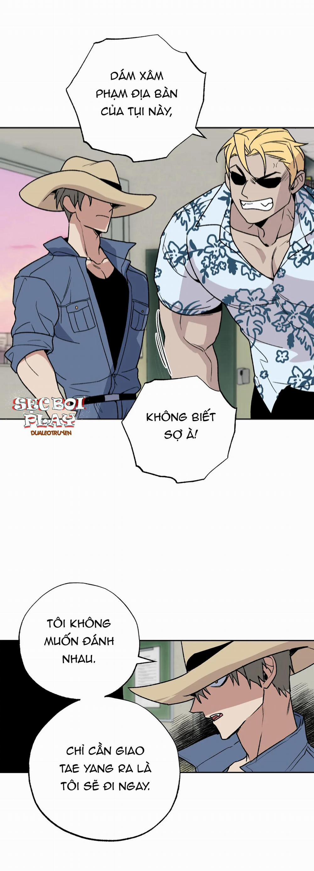 NEW ROMANCE 14 trang 2