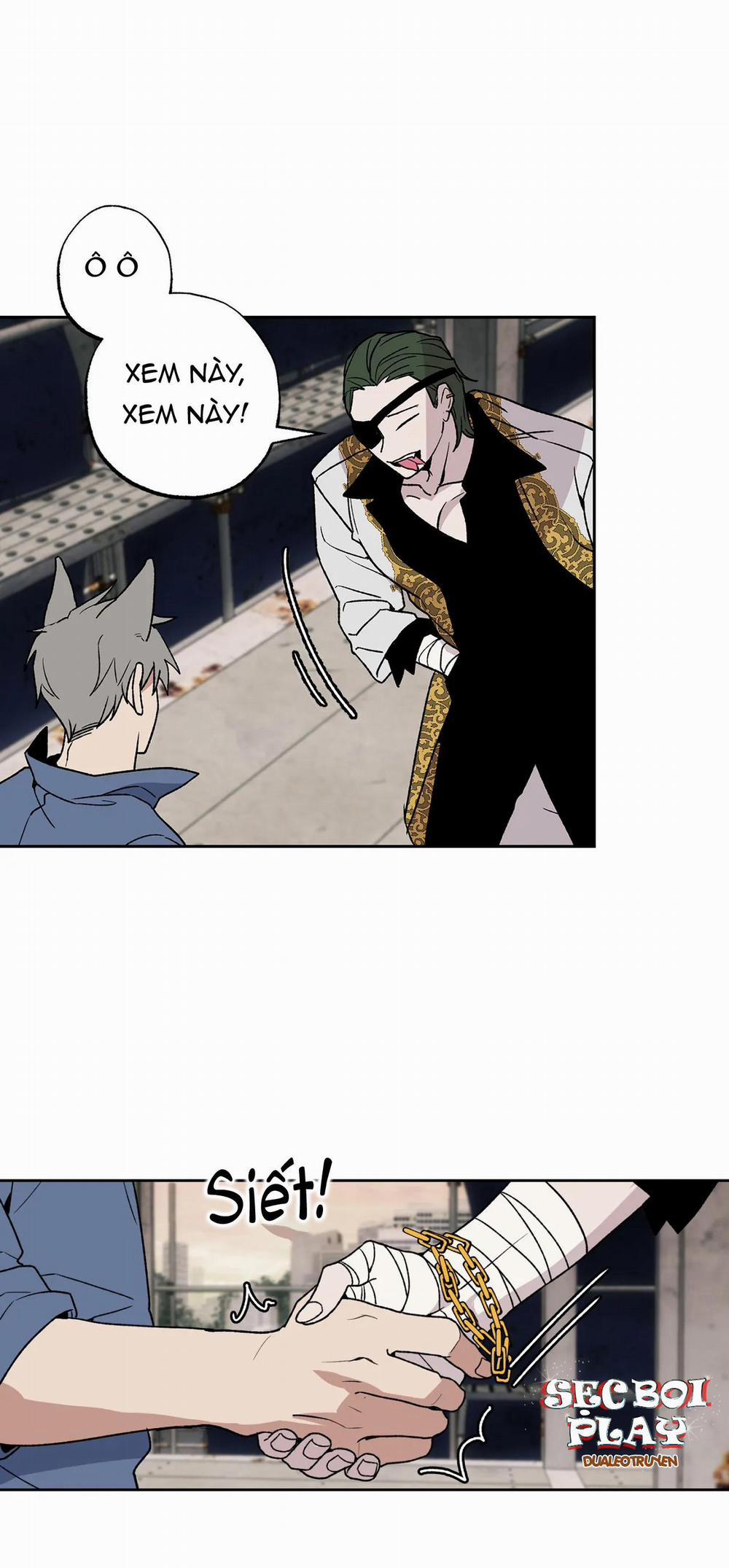 NEW ROMANCE 14 trang 8