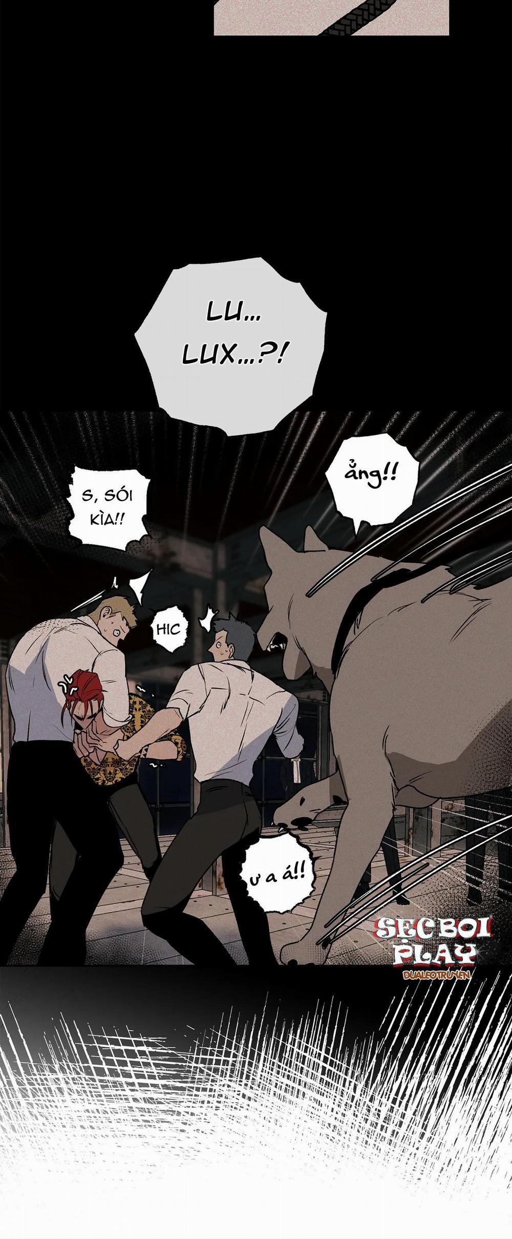 NEW ROMANCE 15 trang 13