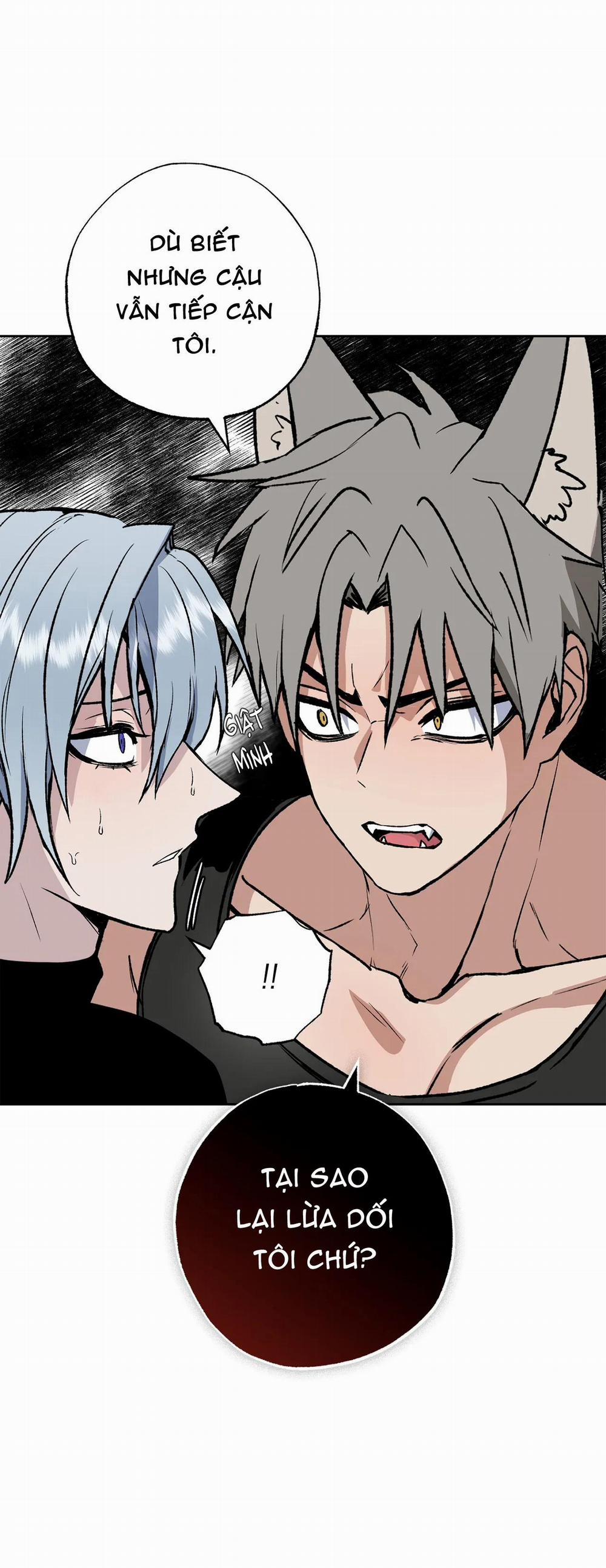 NEW ROMANCE 15 trang 19