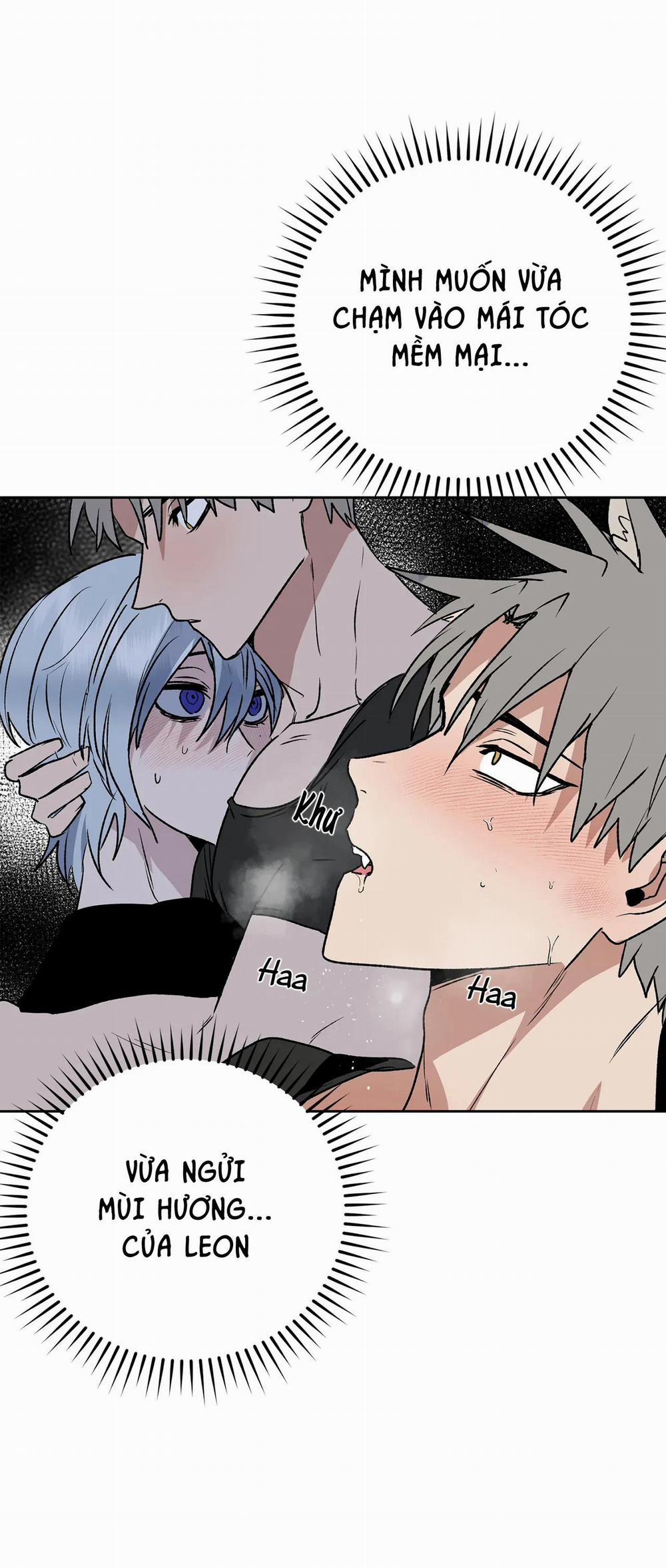 NEW ROMANCE 16 trang 15