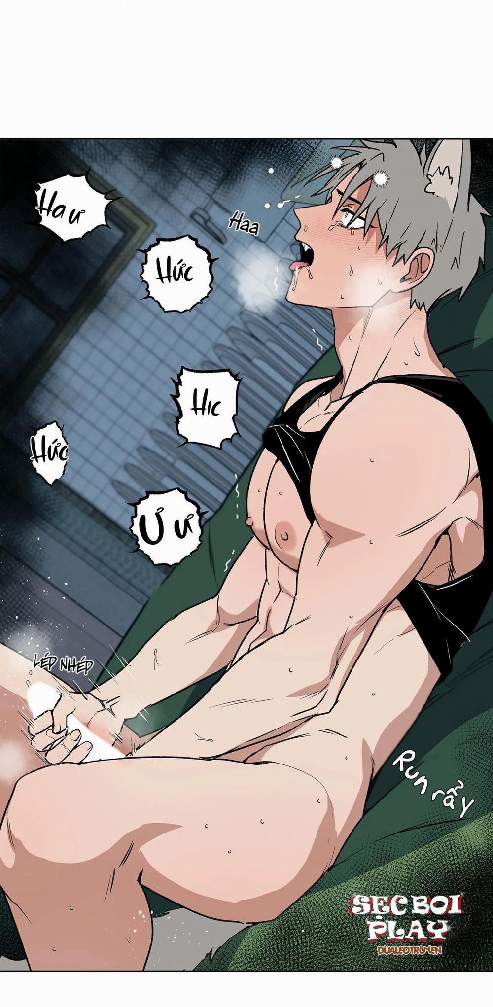 NEW ROMANCE 16 trang 21