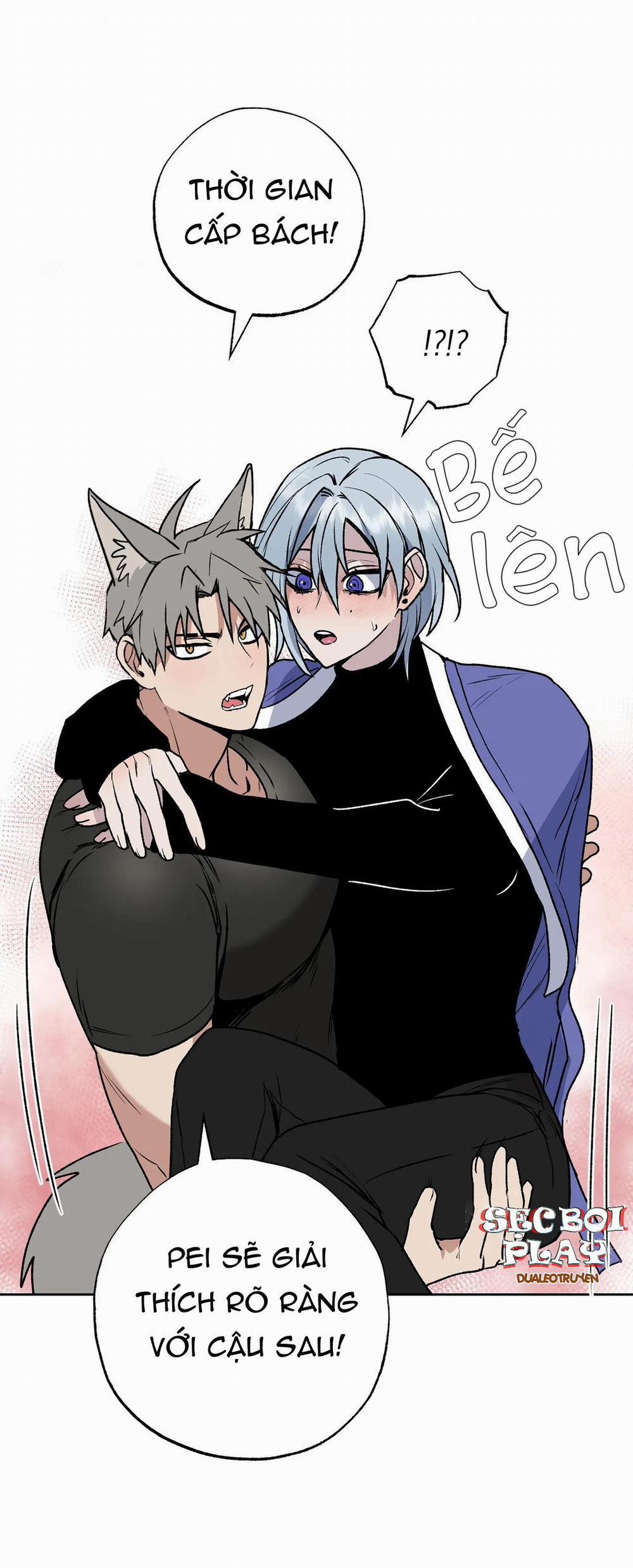 NEW ROMANCE 17 trang 41