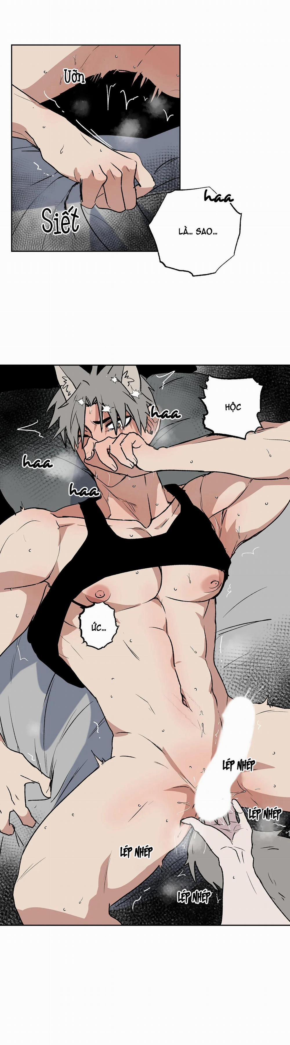 NEW ROMANCE 19 trang 11