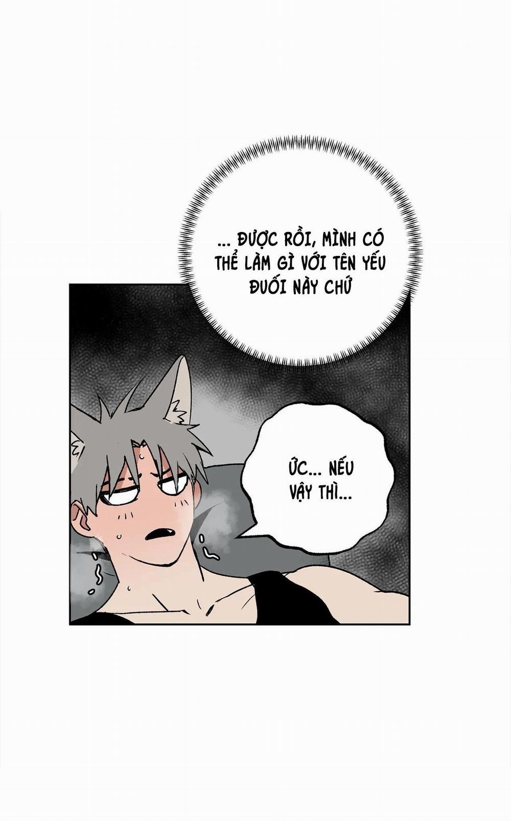 NEW ROMANCE 19 trang 14