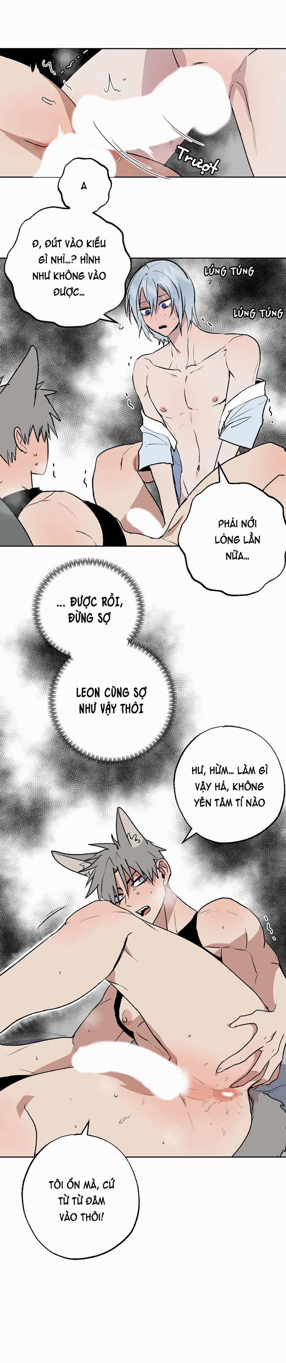 NEW ROMANCE 19 trang 19