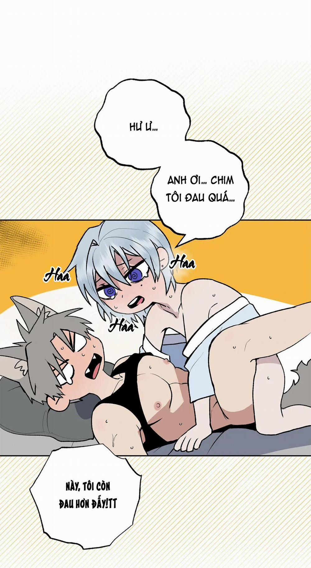 NEW ROMANCE 19 trang 22