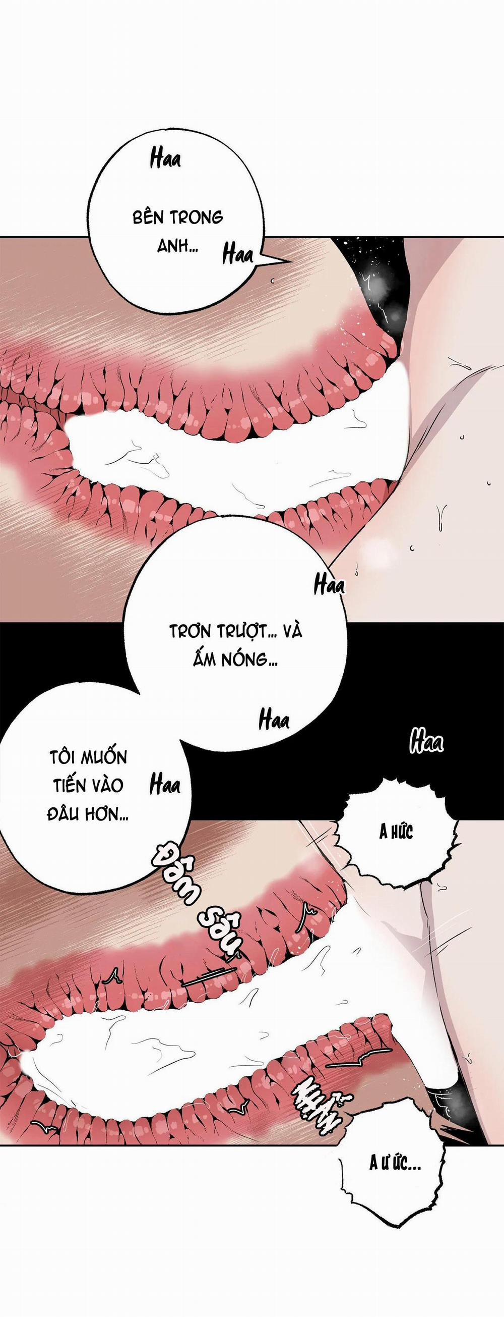 NEW ROMANCE 19 trang 25