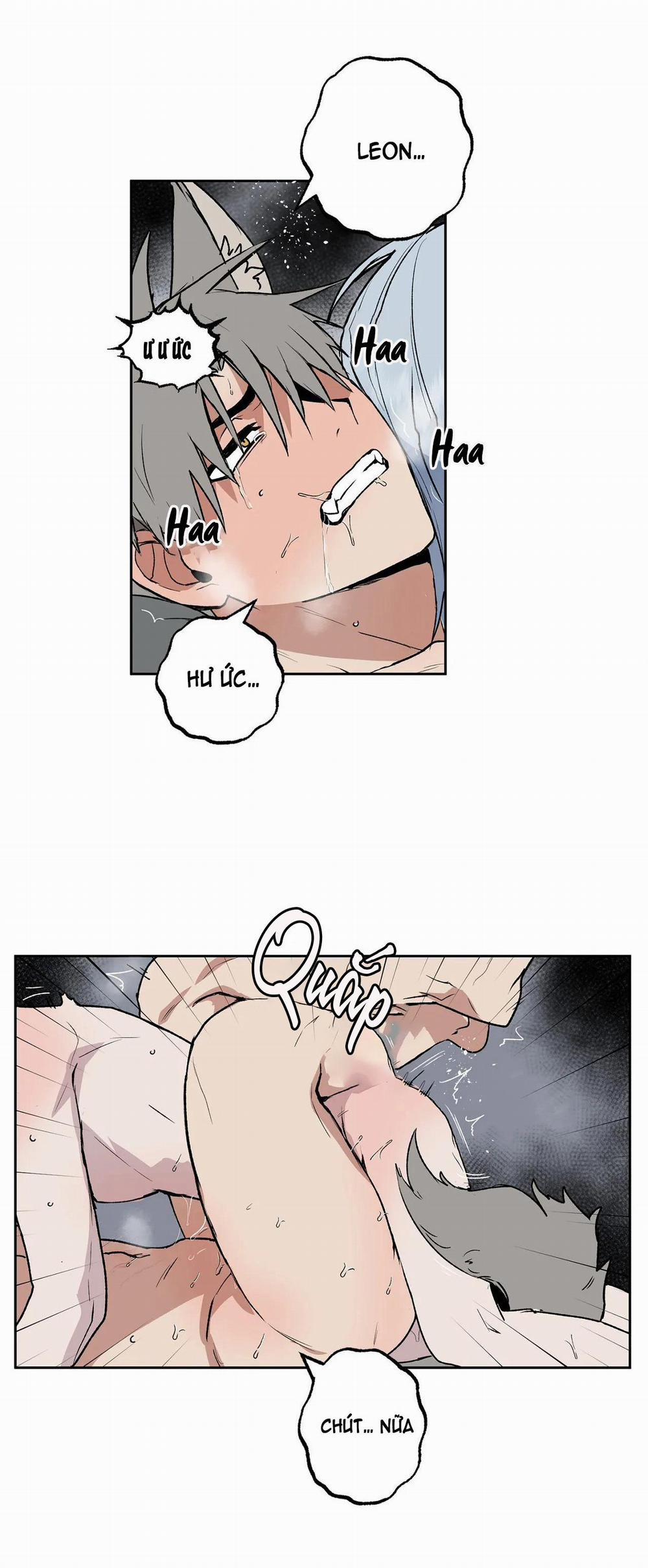 NEW ROMANCE 19 trang 28