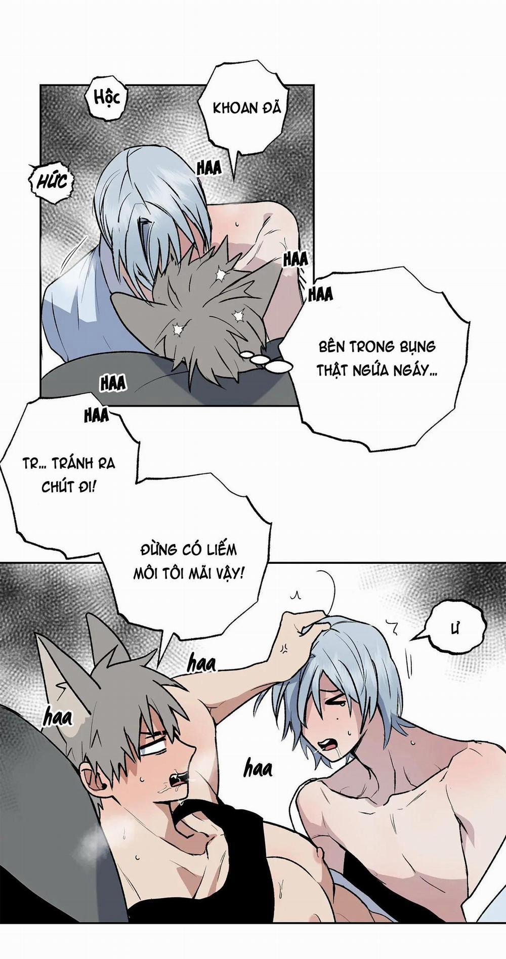 NEW ROMANCE 19 trang 4