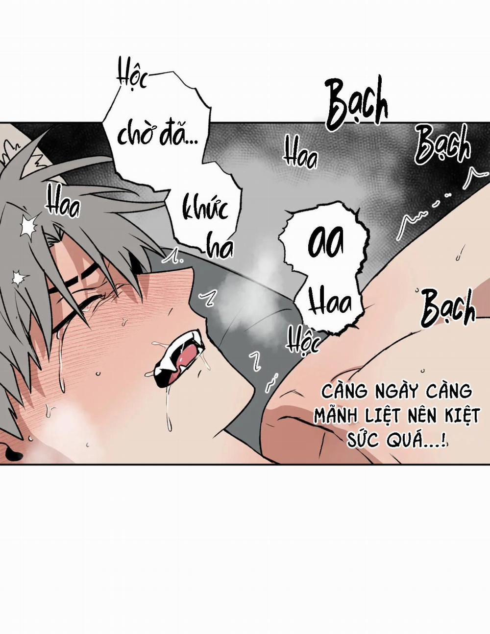 NEW ROMANCE 20 trang 12