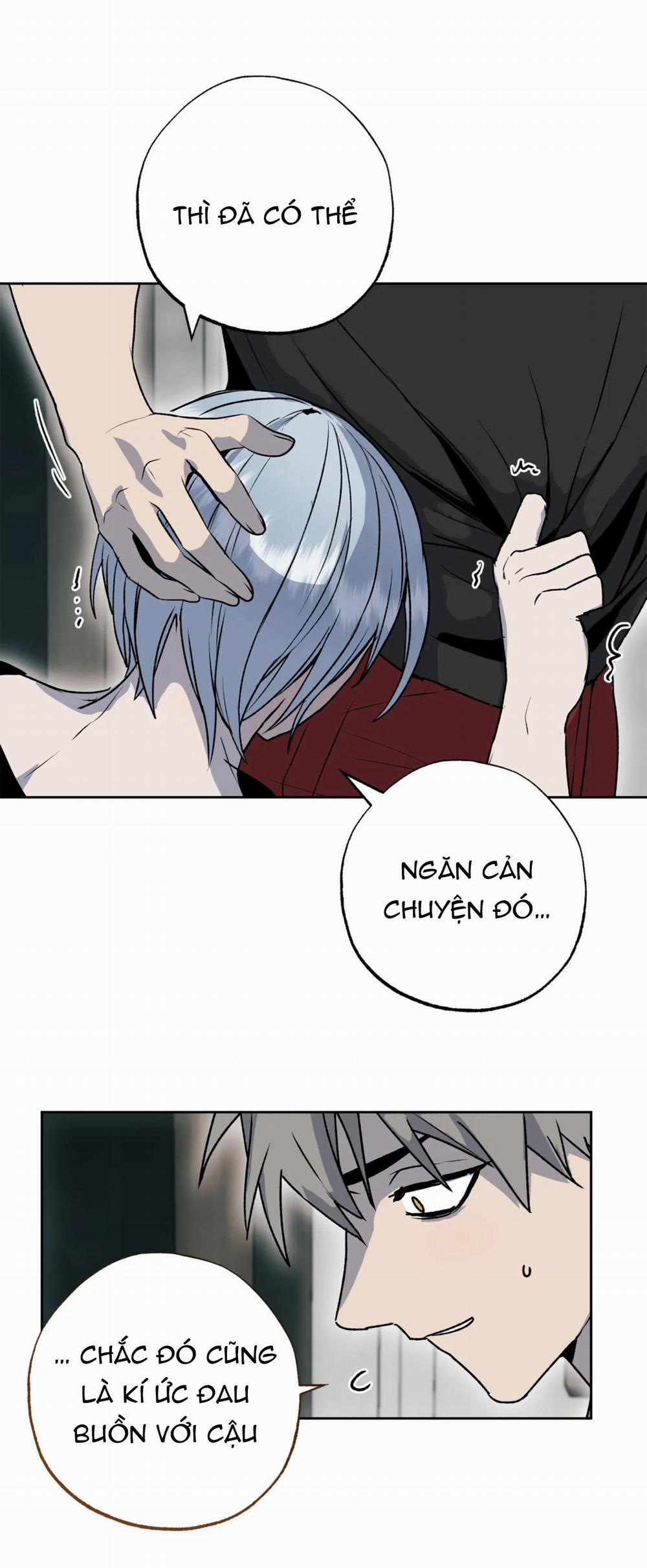 NEW ROMANCE 24 trang 14