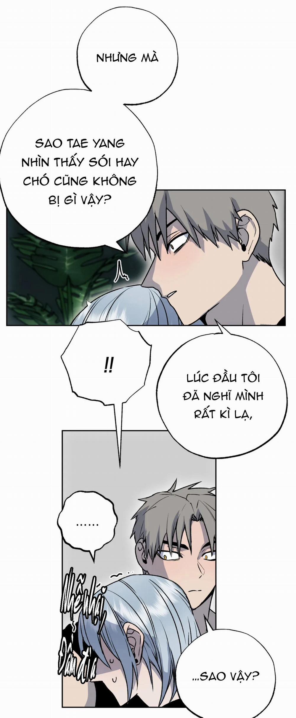 NEW ROMANCE 24 trang 16