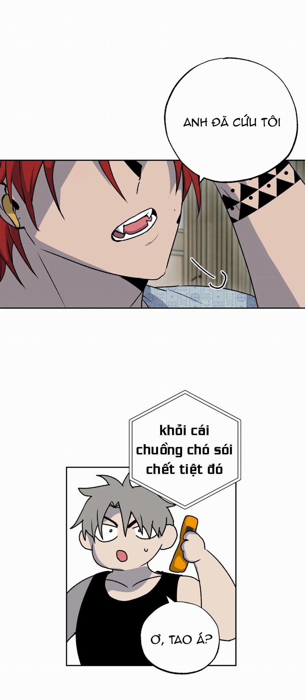 NEW ROMANCE 24 trang 23