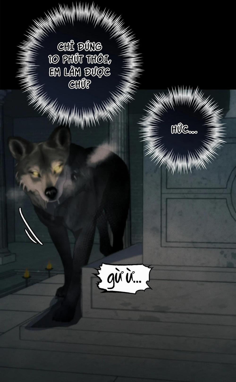 NEW ROMANCE 24 trang 28