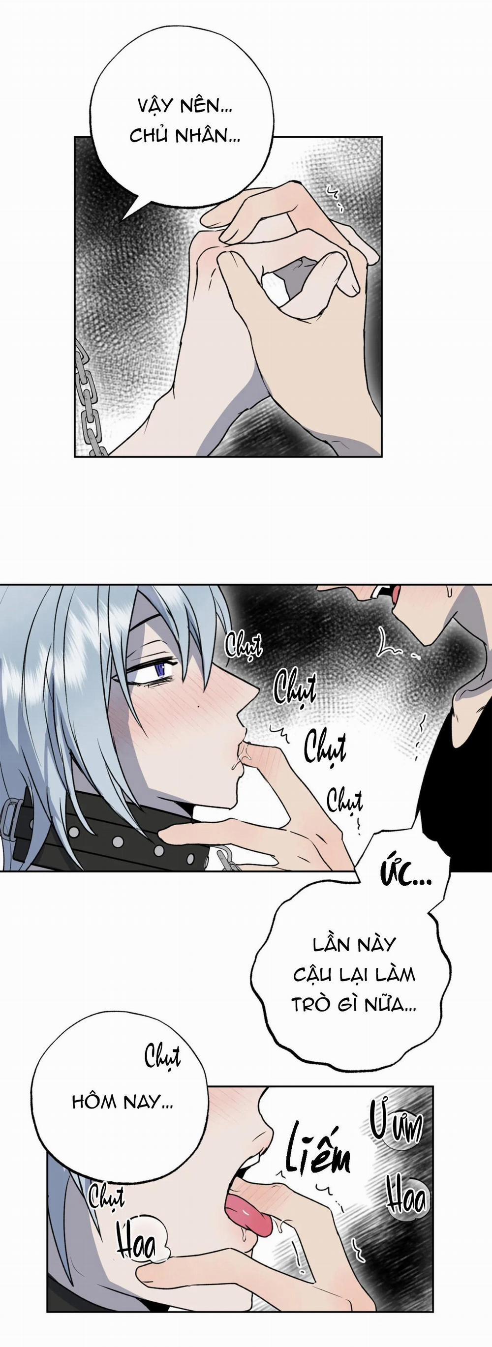 NEW ROMANCE 24 trang 43