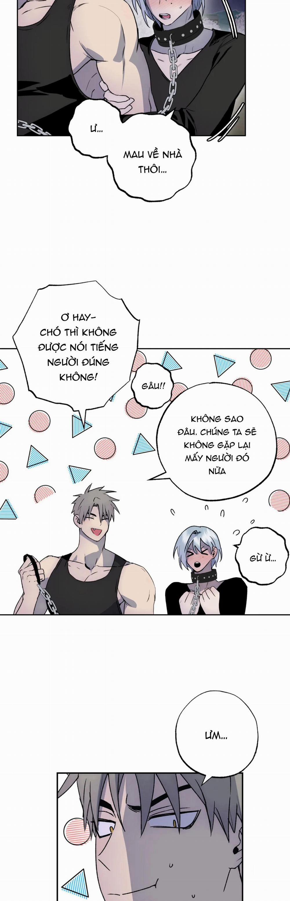 NEW ROMANCE 25 trang 1