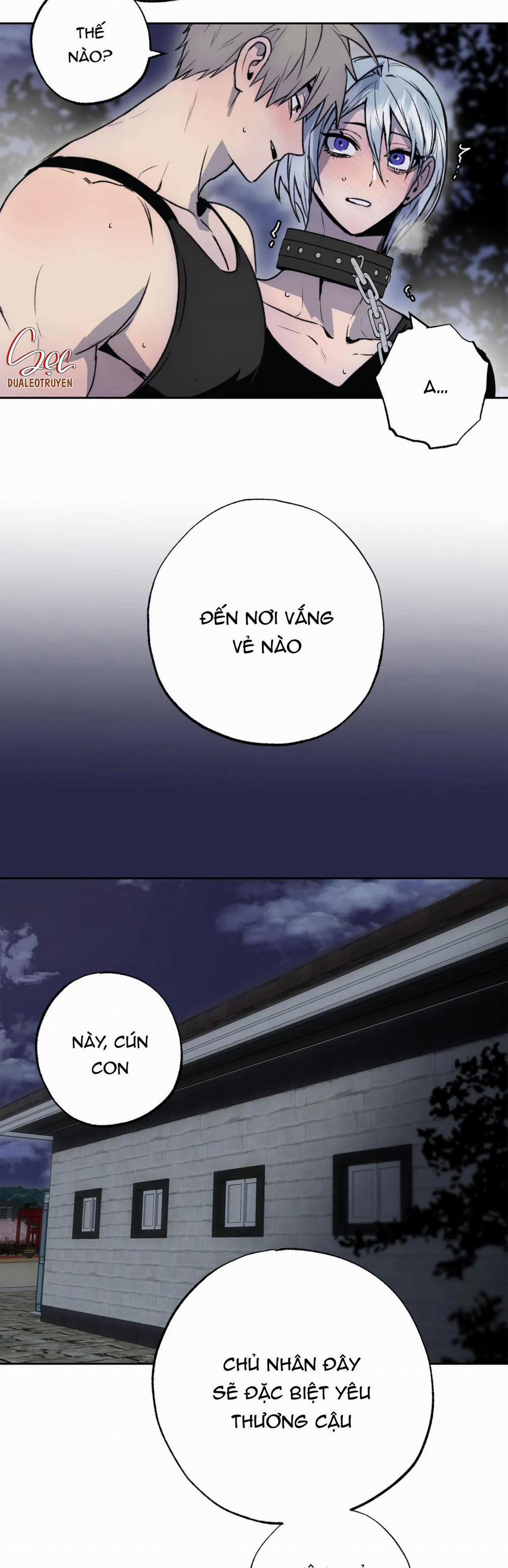 NEW ROMANCE 25 trang 4