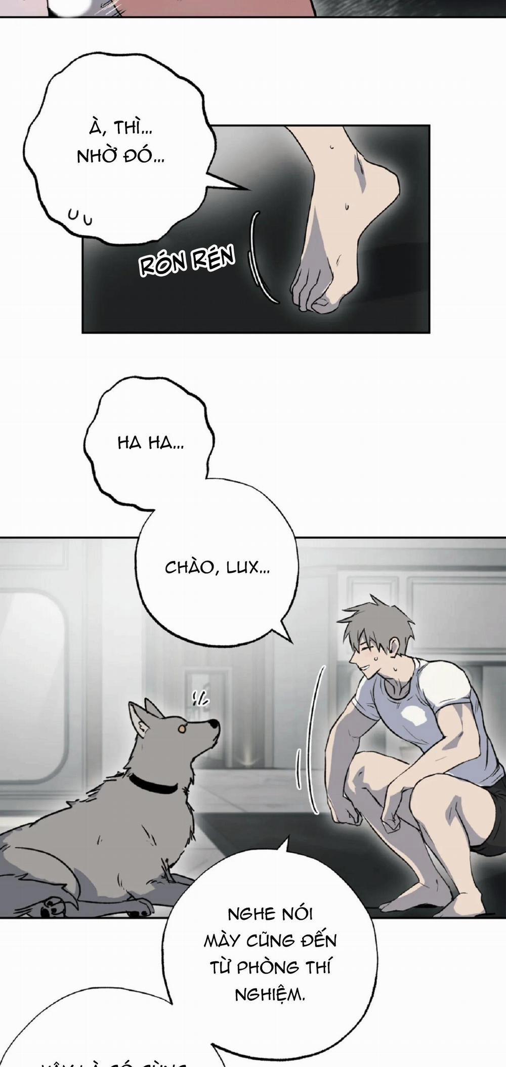 NEW ROMANCE 26 trang 11