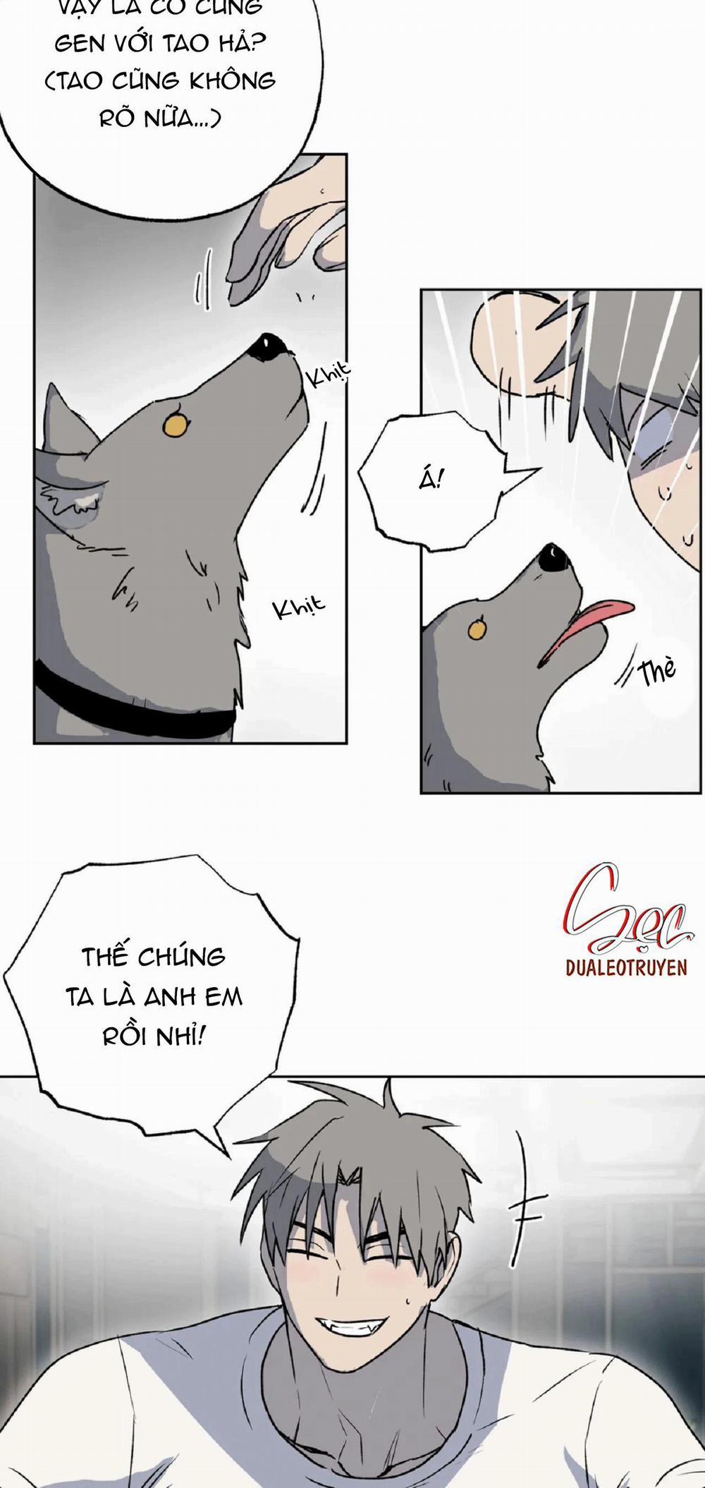 NEW ROMANCE 26 trang 12