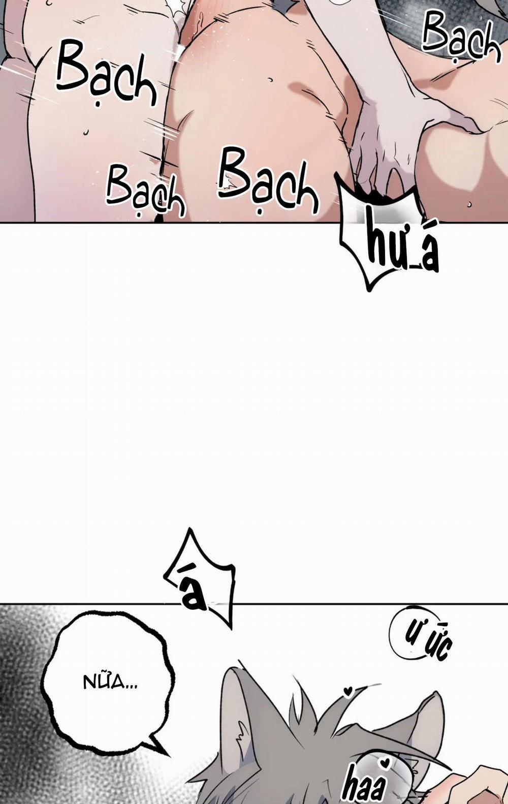 NEW ROMANCE 27 END trang 11