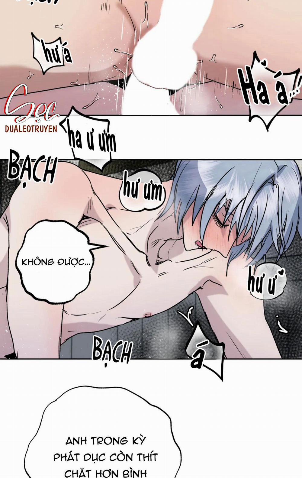 NEW ROMANCE 27 END trang 13