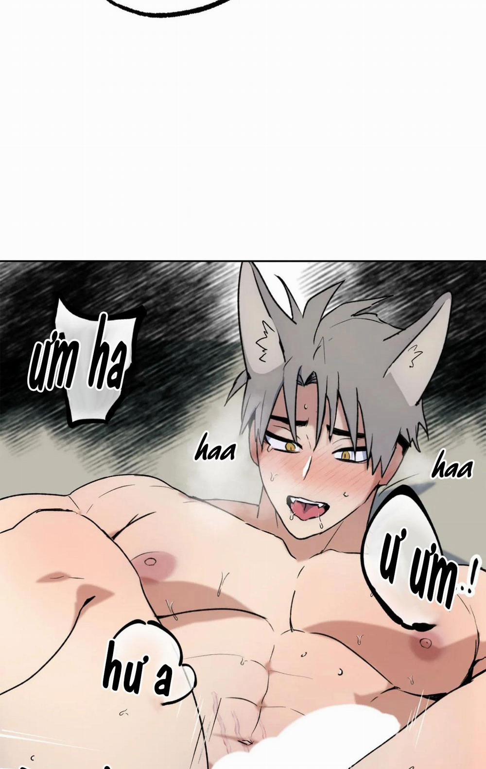 NEW ROMANCE 27 trang 21