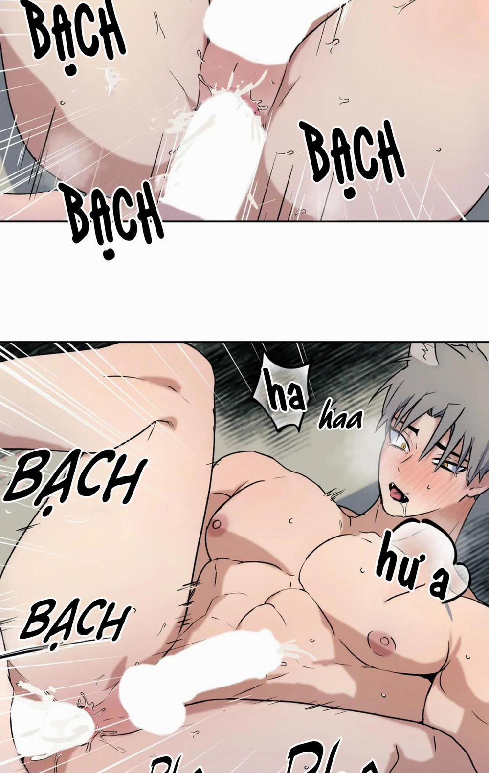 NEW ROMANCE 27 trang 22