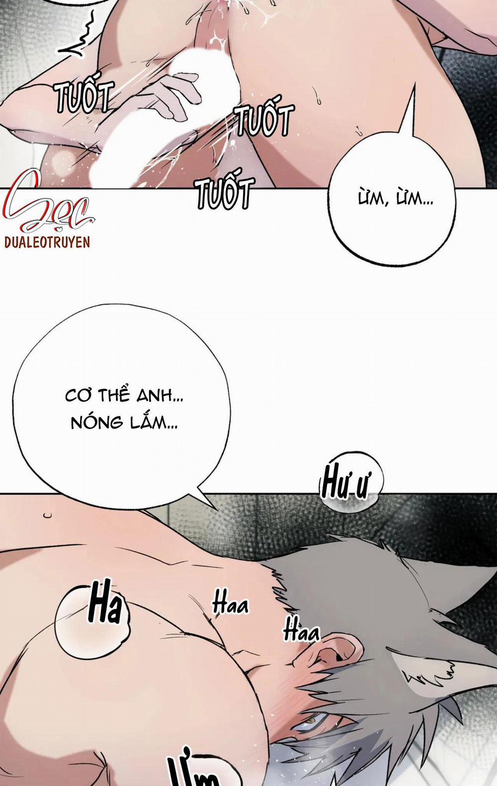 NEW ROMANCE 27 trang 4