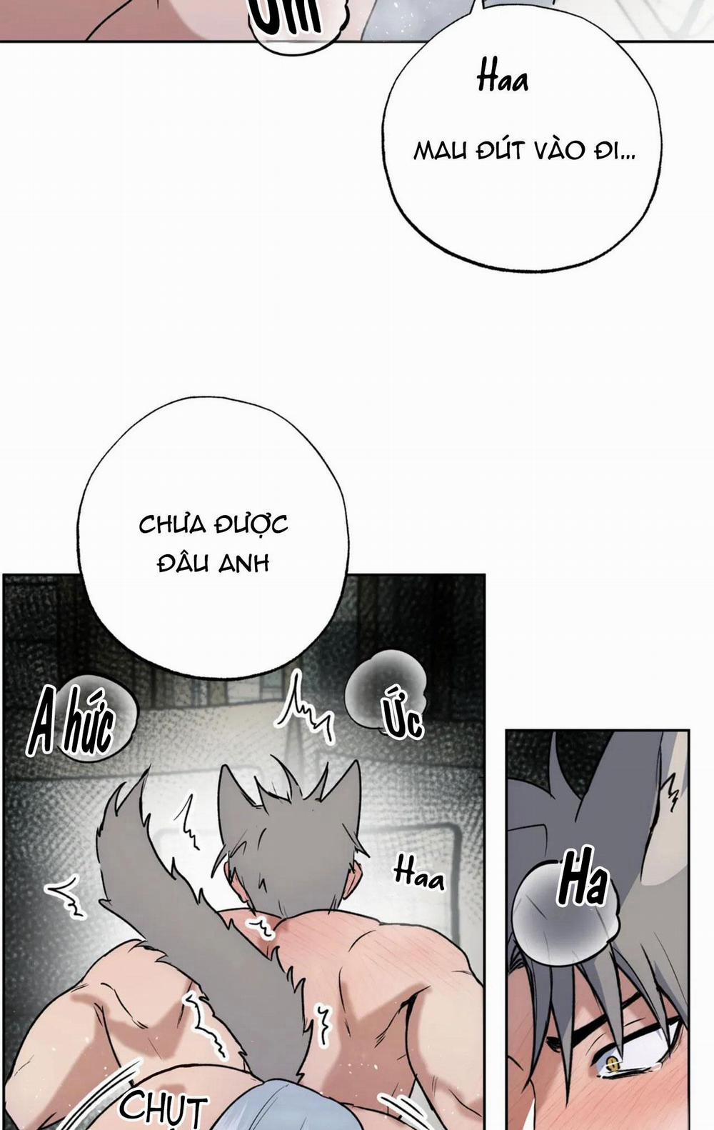 NEW ROMANCE 27 trang 5