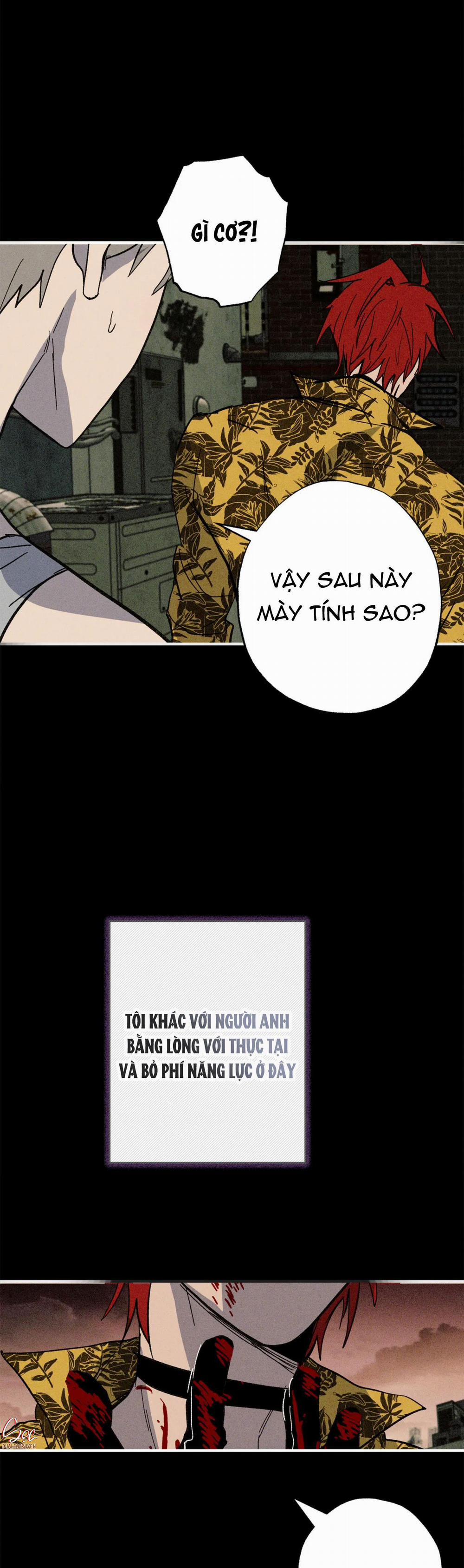 NEW ROMANCE 28 trang 12