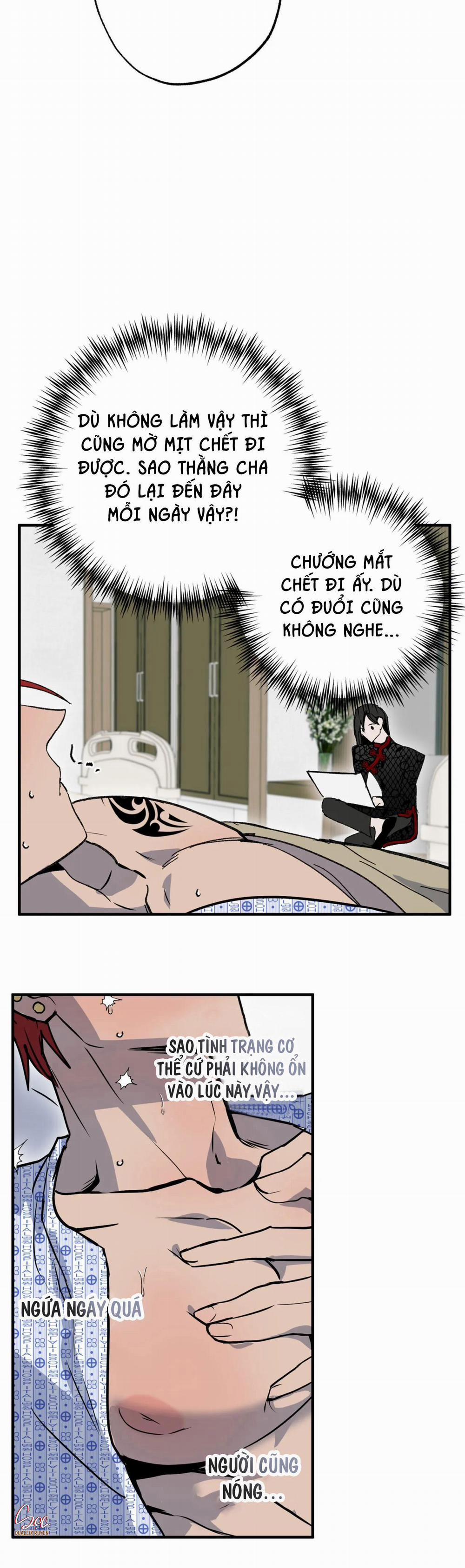 NEW ROMANCE 28 trang 23