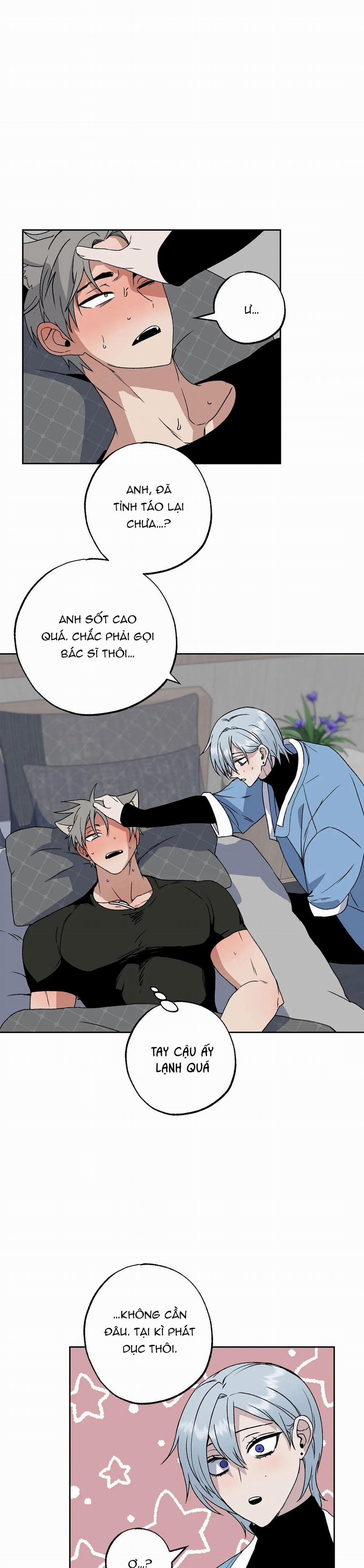 NEW ROMANCE 3 trang 1