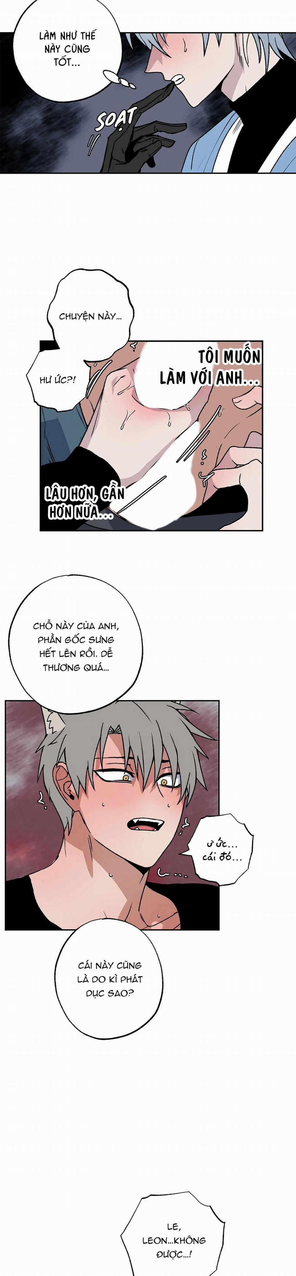 NEW ROMANCE 3 trang 5