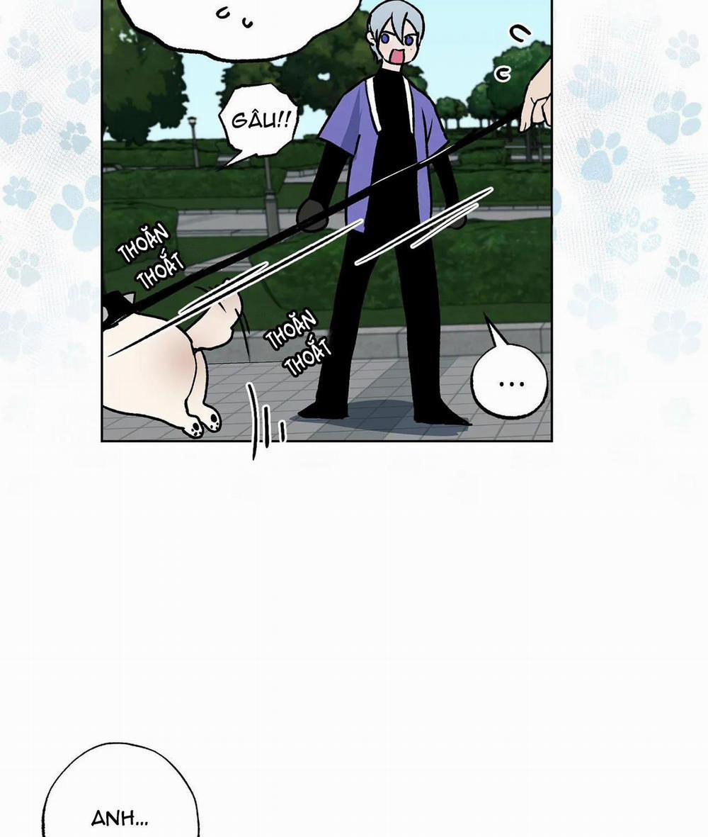 NEW ROMANCE 4 trang 19